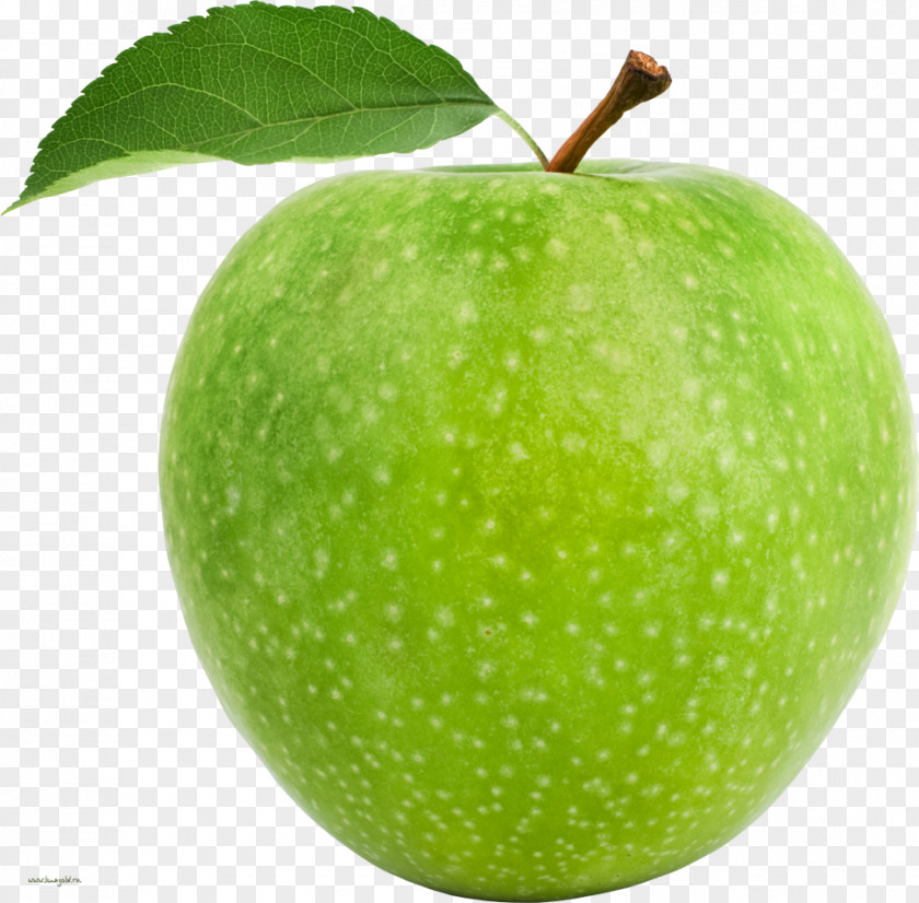 Green Apple Granny Smith Cultivar Golden Delicious Fruit PNG
