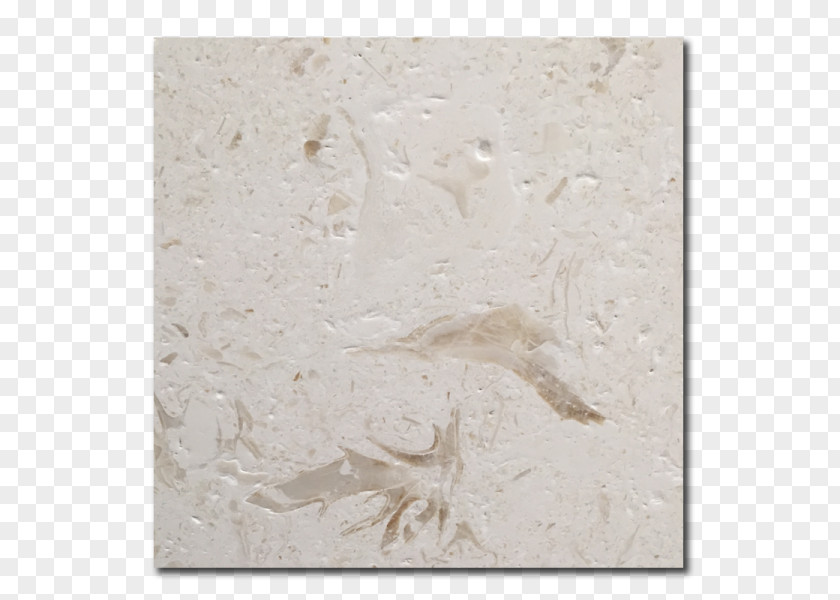 Limestone Marble PNG