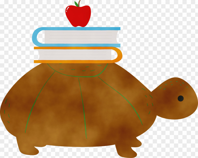 Tortoise M Beak PNG