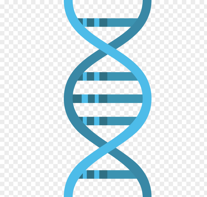 Vector Graphics DNA Illustration Image PNG