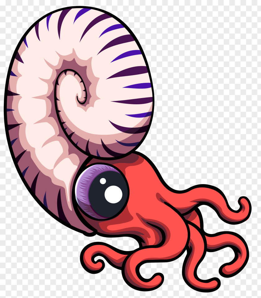 Ammonites Octopus Squid Clip Art PNG