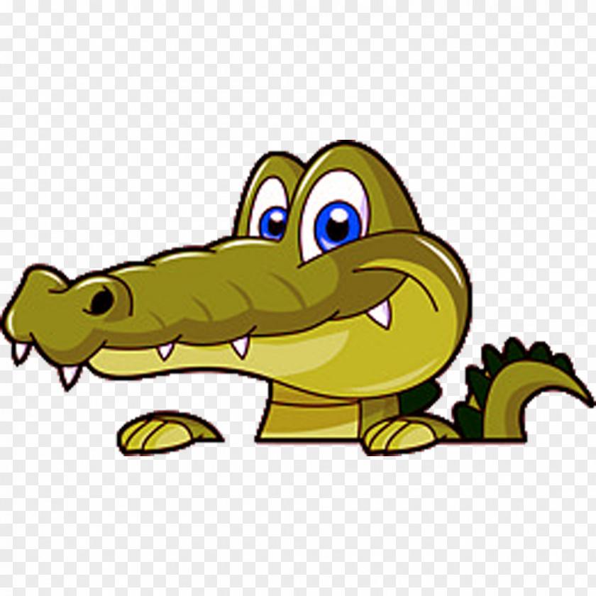 Crocodile Alligators Clip Art Drawing Cartoon PNG