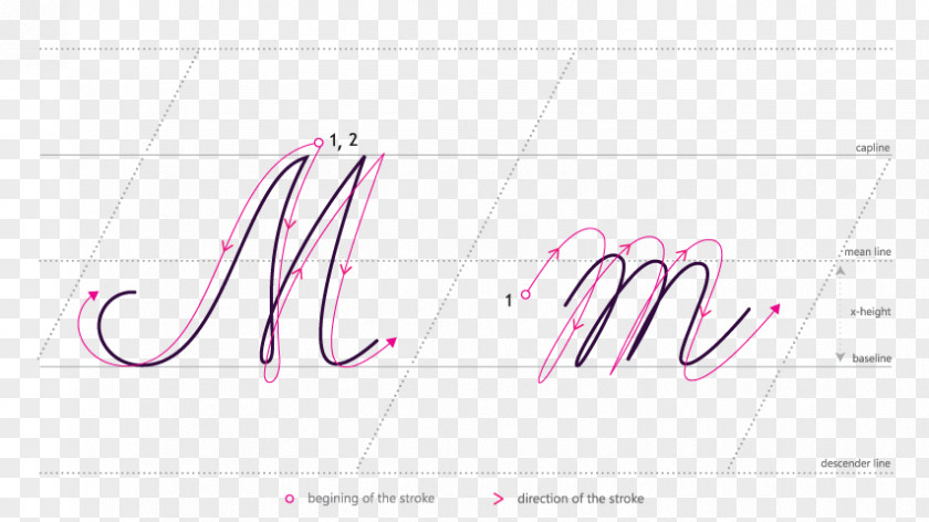 Cursive M Logo Brand Line Font PNG