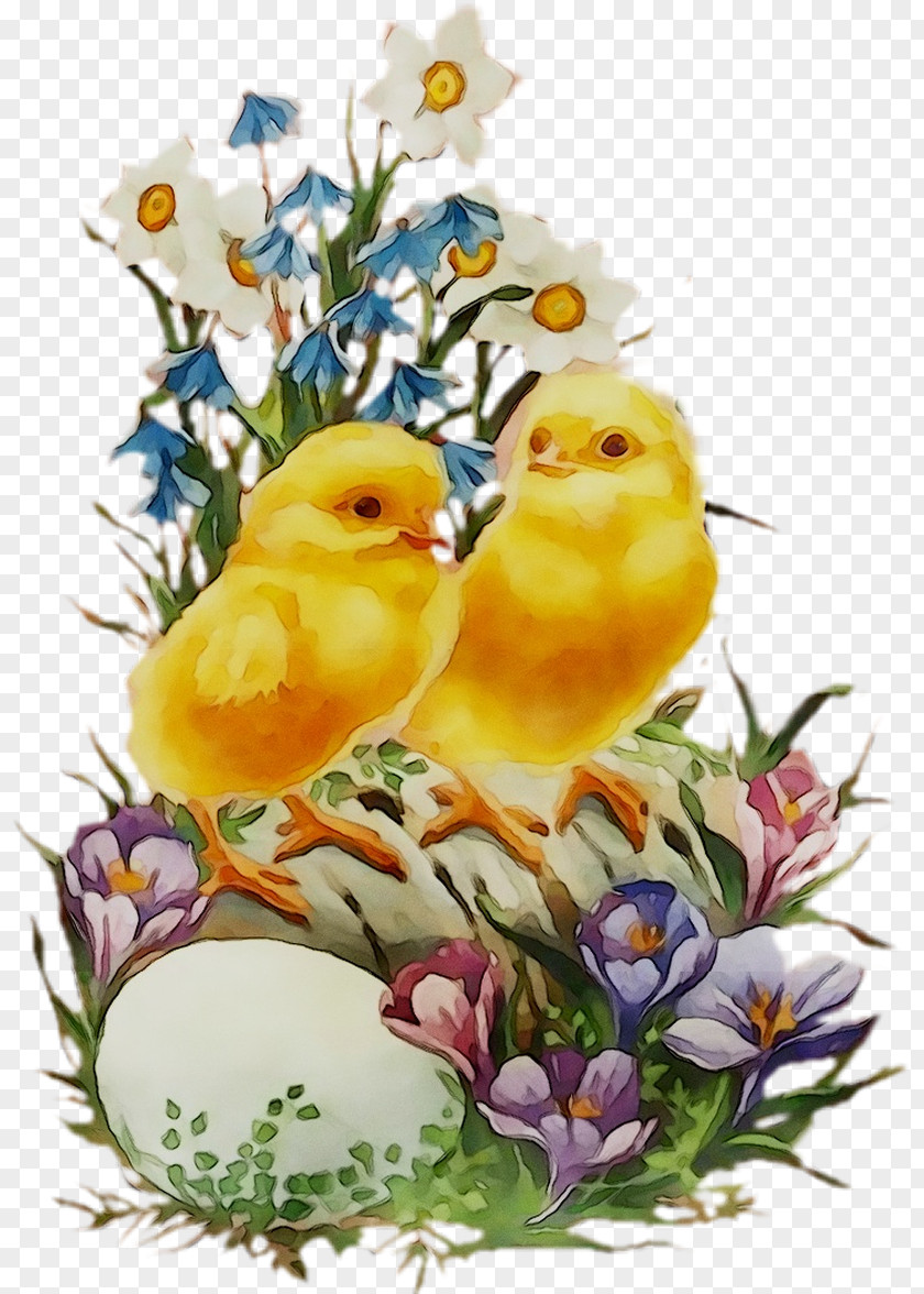 Easter Bunny Egg The Chicken Holiday PNG