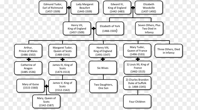 Henry Viii Family Tree Document Line Angle Pattern PNG