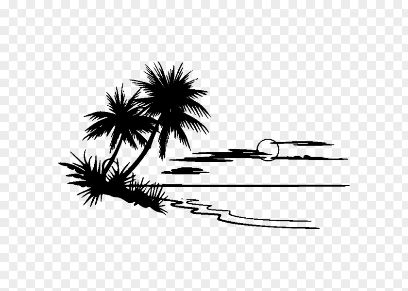 Landscape Arecales Palm Tree Drawing PNG