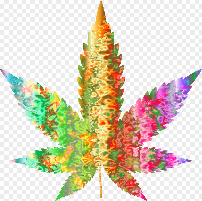 Marijuana Cannabis Psychedelic Drug Leaf Lysergic Acid Diethylamide Clip Art PNG