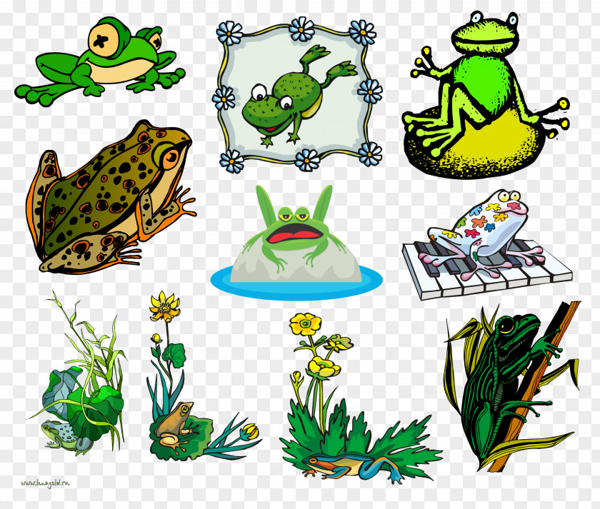 Sweet Frog Cliparts Toad Tree True Clip Art PNG