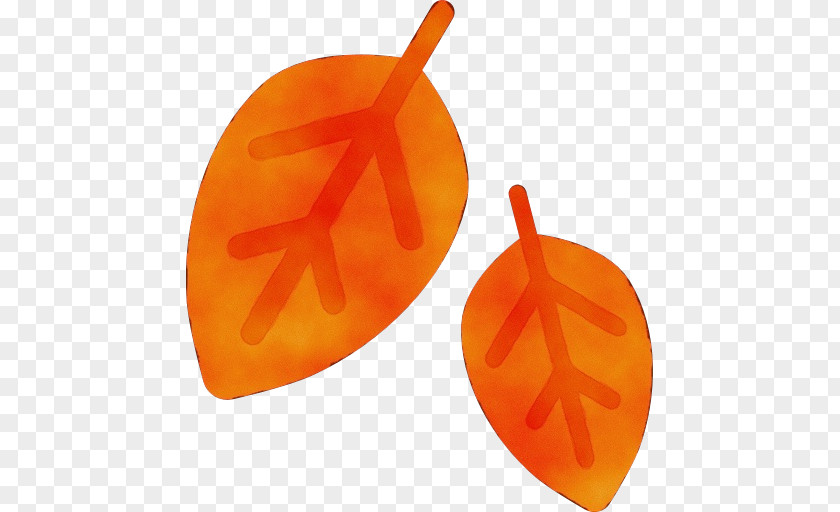 Yellow Orange Fruit Cartoon PNG