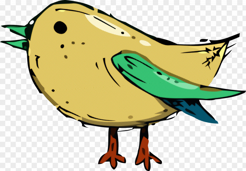 Birds Cartoon Beak Meter Biology PNG