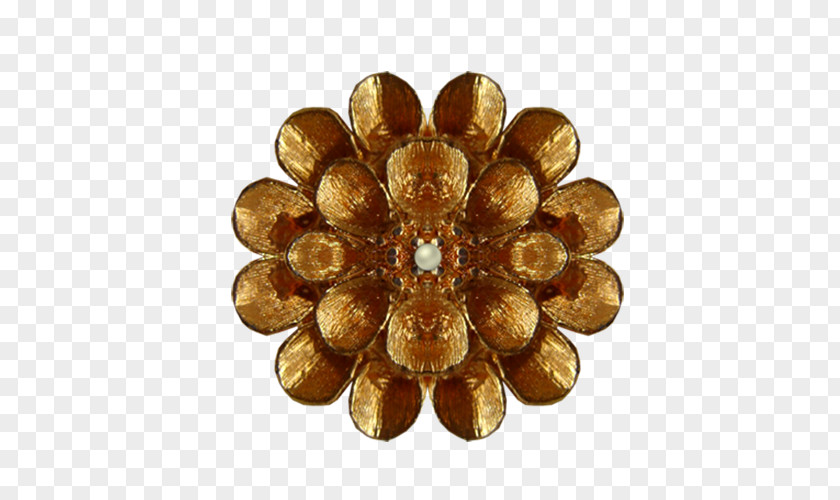 Bronze Jewelry Material Albom Clip Art PNG