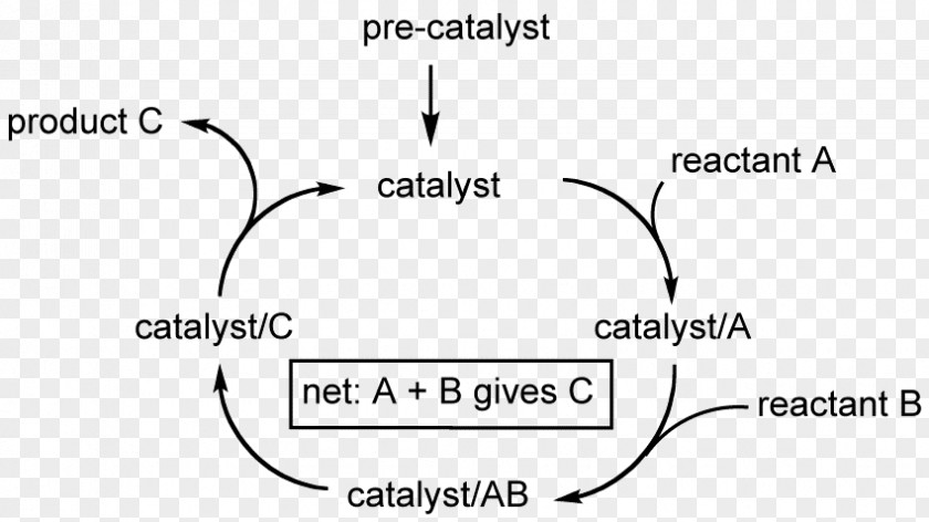 Catalytic Cycle Catalysis Chemistry Reaction Mechanism Chemical PNG
