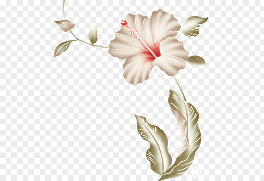Design Hibiscus Flower PNG