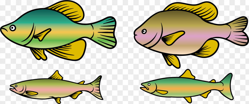 Economic Fishes Rainbow Trout Fish Clip Art PNG