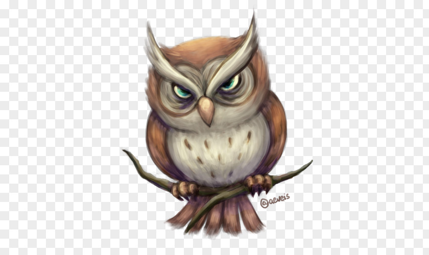 Owl Illustration Beak PNG
