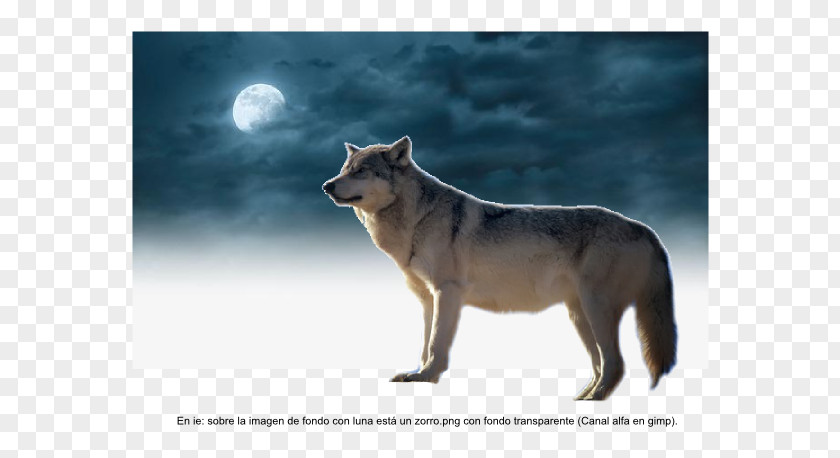 Sea Minerals Gray Wolf Coyote Inkscape GIMP Chart PNG