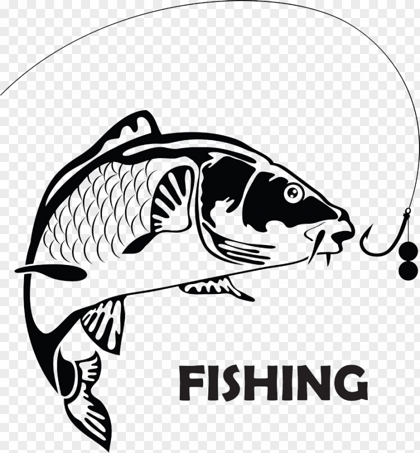 The Creative Fish Logo PNG creative fish logo clipart PNG
