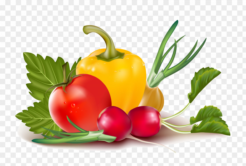 Vegetable Royalty-free PNG