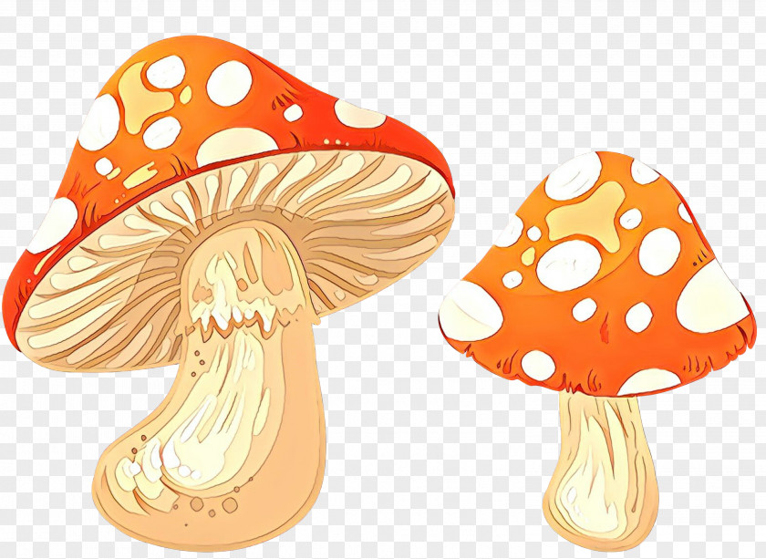Clip Art Mushroom Transparency Vector Graphics PNG