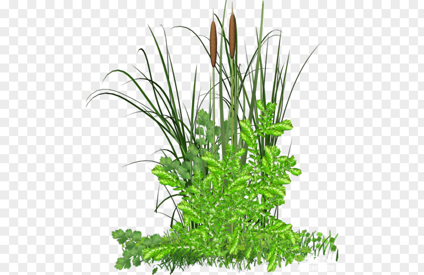 Easter Party Flyer Grass Herbaceous Plant PhotoFiltre Clip Art PNG