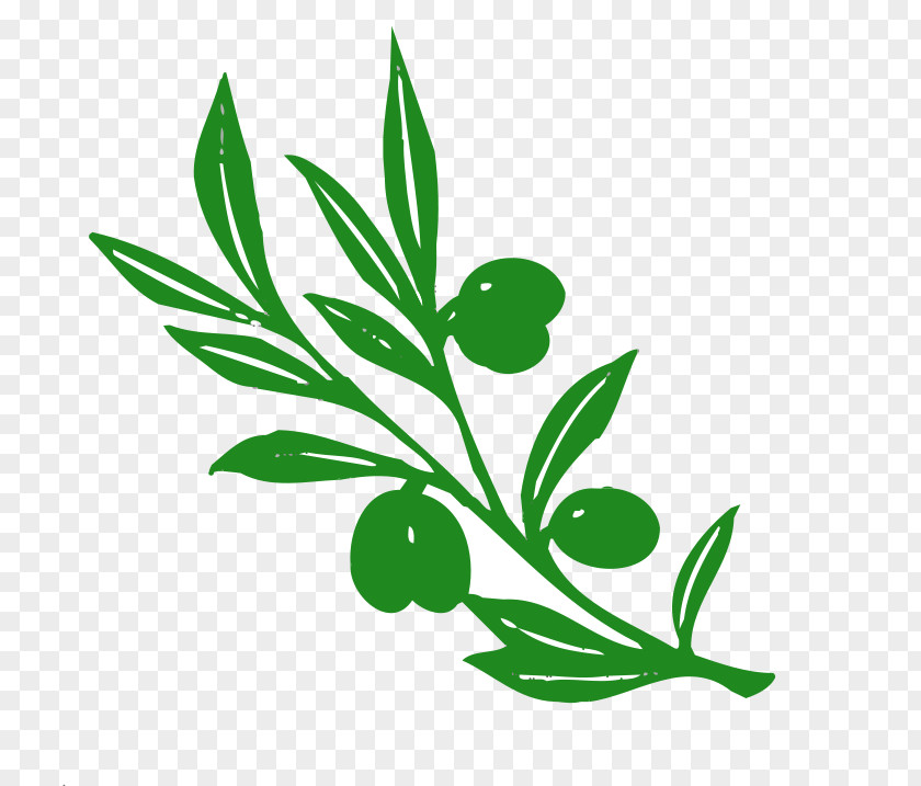 Radish Clipart Olive Branch Tree Clip Art PNG