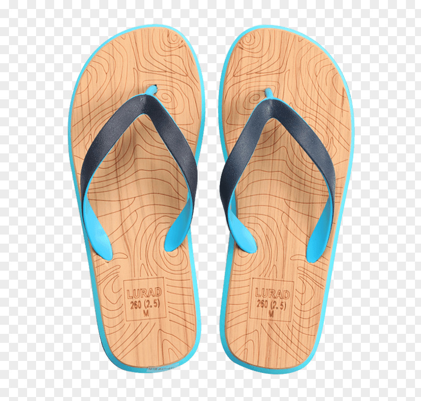 Summer Slipper Flip-flops Sandal Shoe Footwear PNG