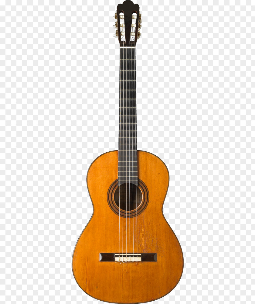 Acoustic Guitar Twelve-string Acoustic-electric String Instruments PNG