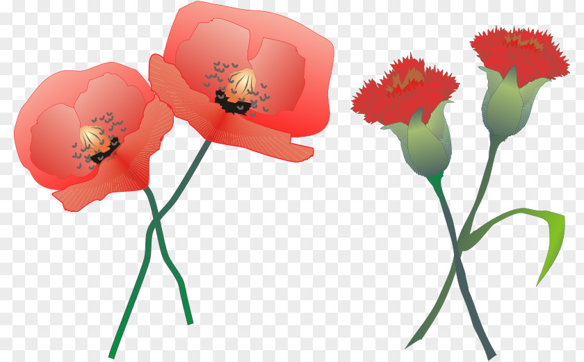 Carnation Desktop Wallpaper Clip Art PNG