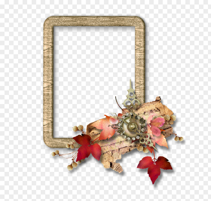 Field Picture Frames Photography PNG