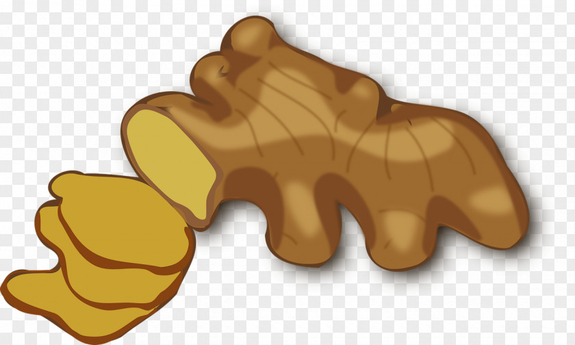 Ginger Gingerbread Man Clip Art PNG