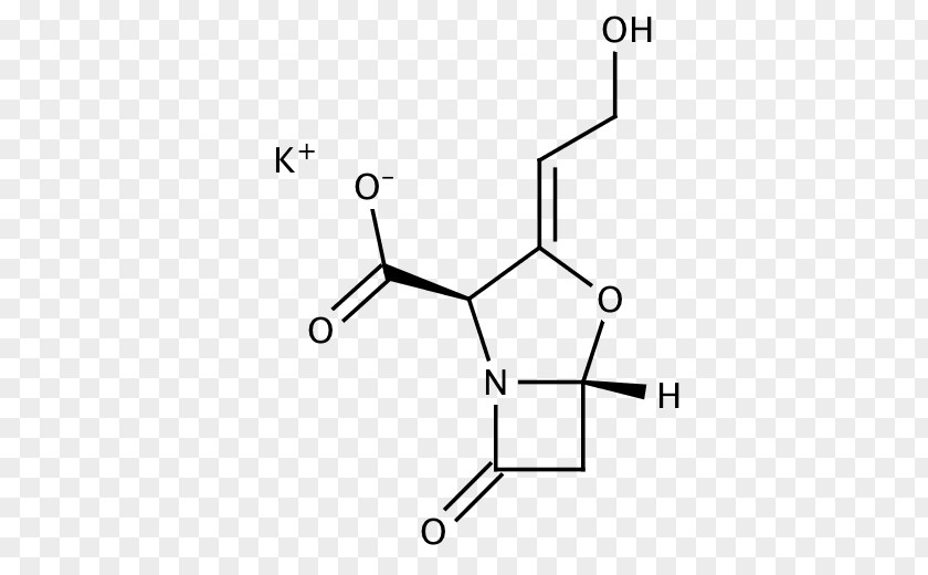 /m/02csf Antibiotics White Drawing Diagram PNG