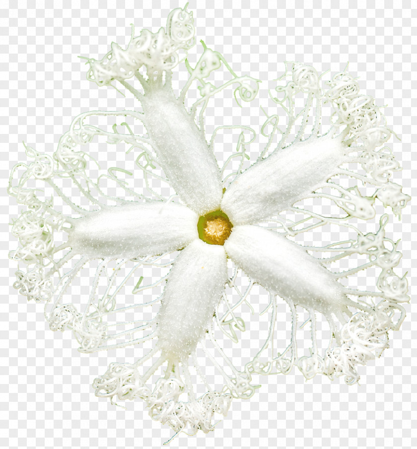 Rich Flowers Cut Floral Design Petal Plant PNG