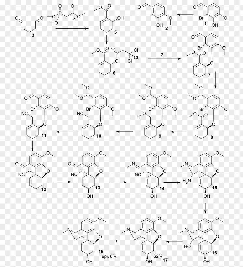 Strychnine Total Synthesis Galantamine Chemical Of Morphine And Related Alkaloids PNG