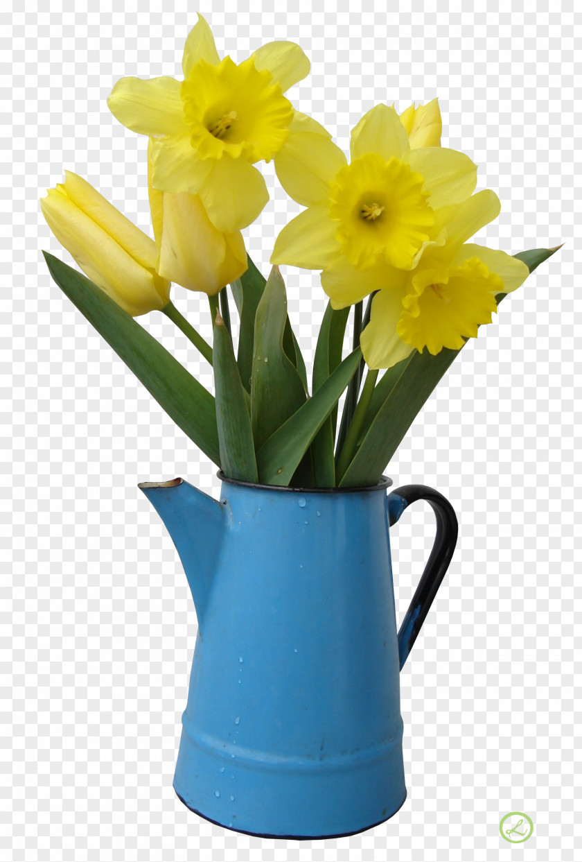Water Lilies Flower Daffodil Stock Photography Vase PNG