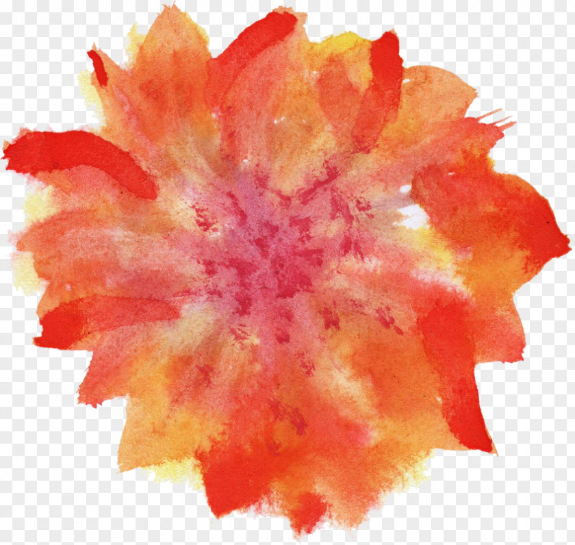 Watercolor Flower Watercolour Flowers Painting PNG
