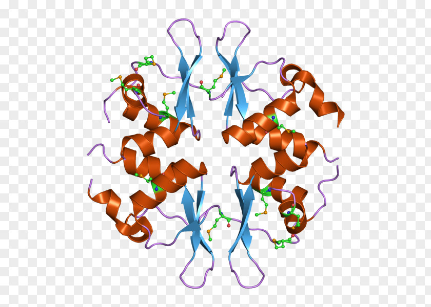 CBS Domain Protein CLCN1 Structure PNG