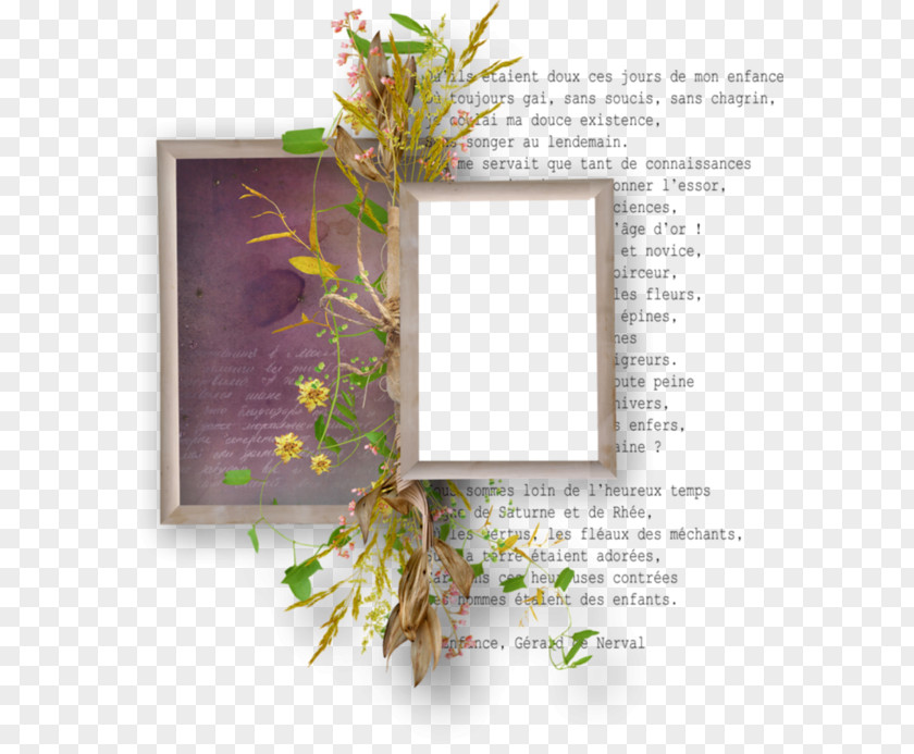 Design Image Leaf Picture Frames PNG