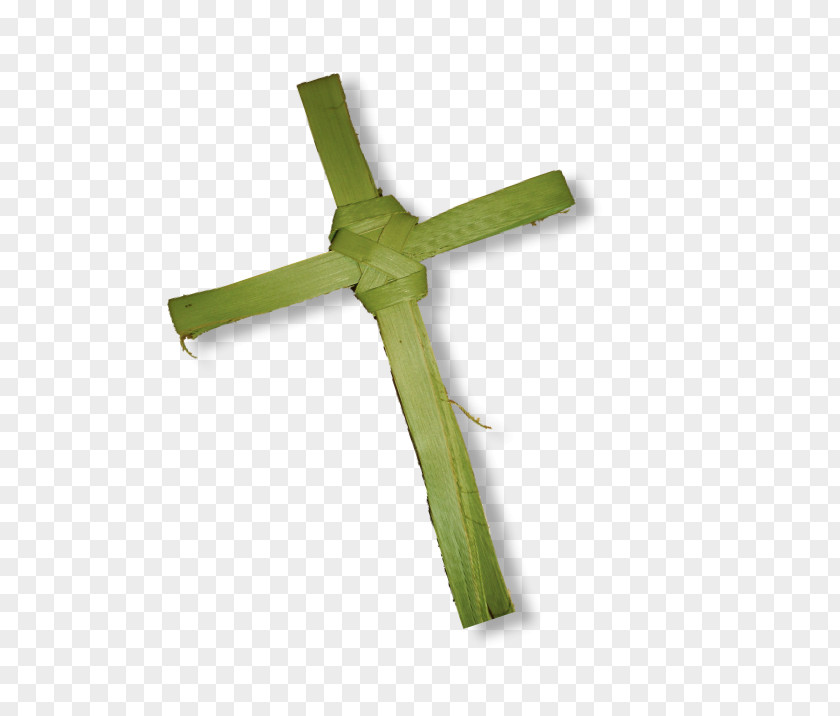 Finger Crossed Palm Branch Christian Cross Trees Photography PNG