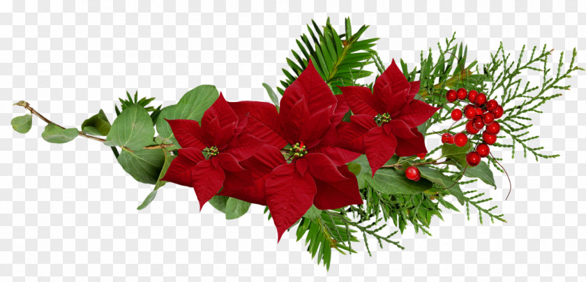 Flower Floral Design Christmas Ornament Cut Flowers PNG