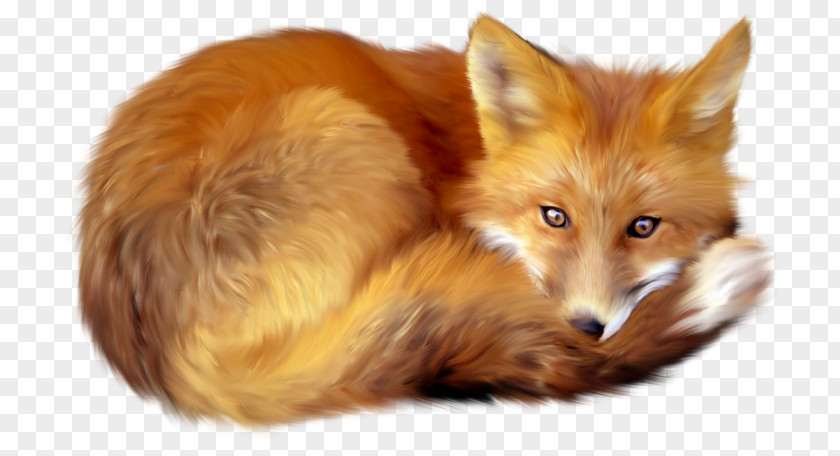 Fox Clip Art PNG