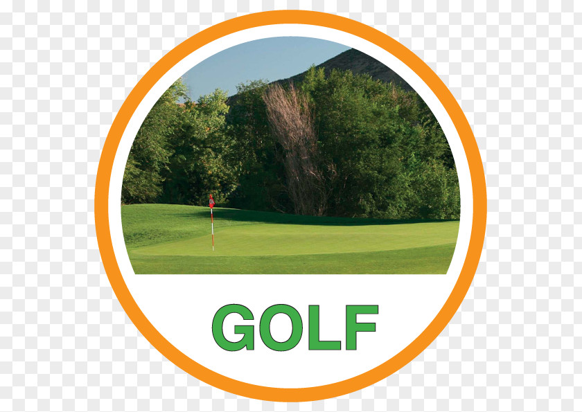 Golf R Balls Course Clubs Trávní PNG