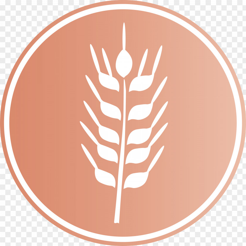 Oats Wheat Logo PNG