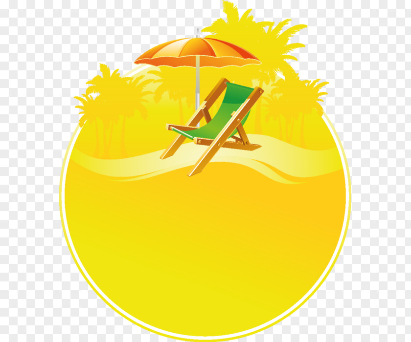 Orange Yellow Fruit PNG