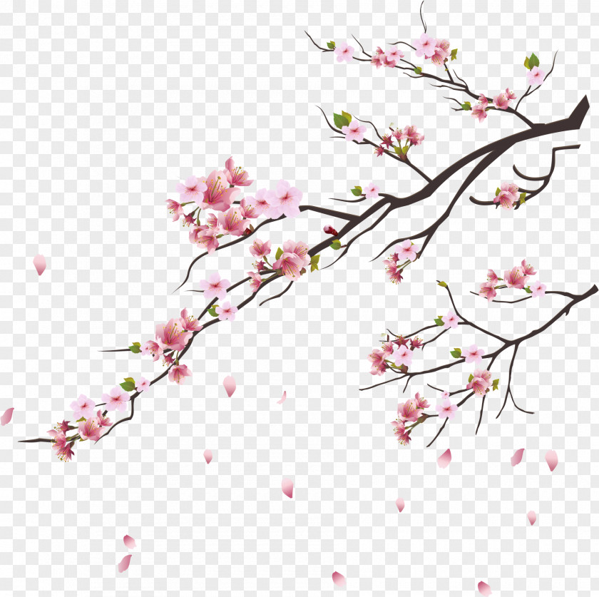 Pink Cherry Blossoms Blossom Tsukasa Of Tokyo Branch PNG