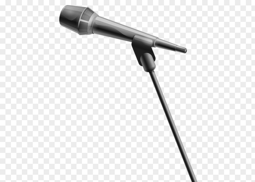 Pomogranate Microphone Clip Art PNG