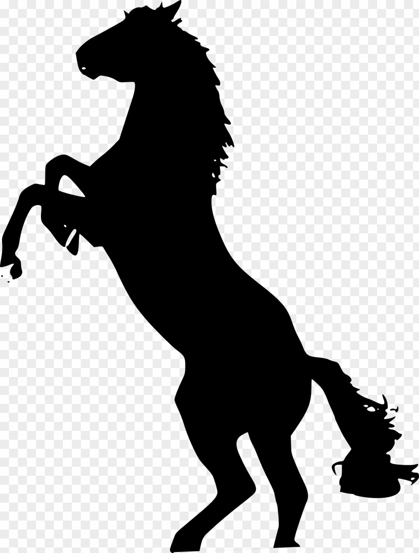 Silhouettes Mustang Stallion The Behaviour Of Horse Clip Art PNG