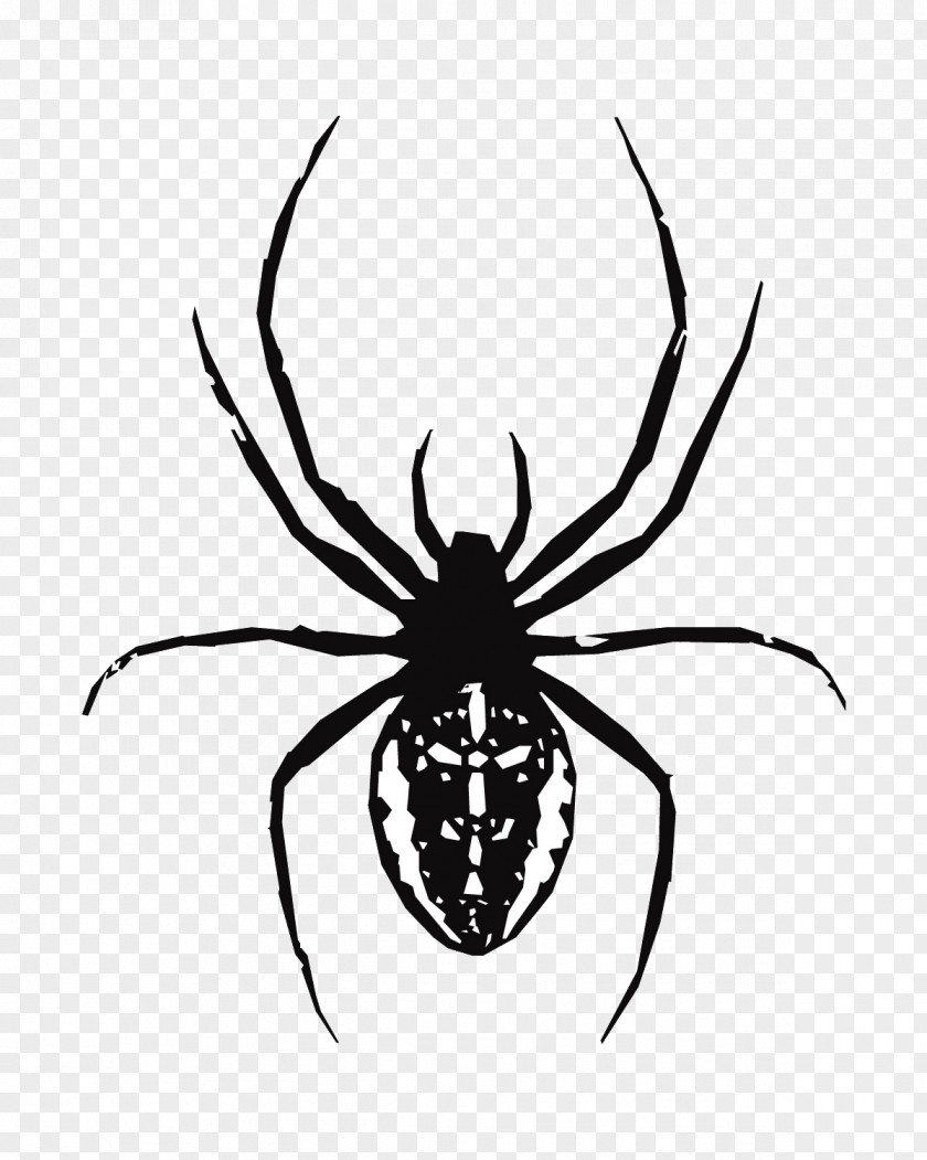 Spider Web Southern Black Widow Clip Art PNG
