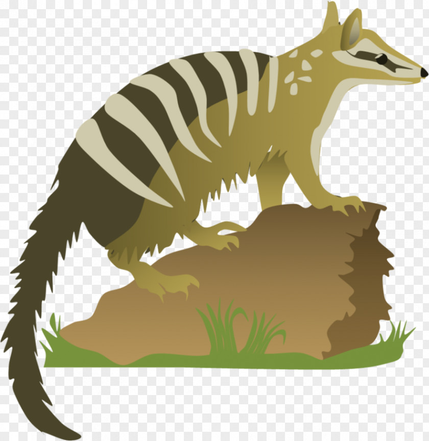 Numbat Red Fox Marsupial Clip Art PNG