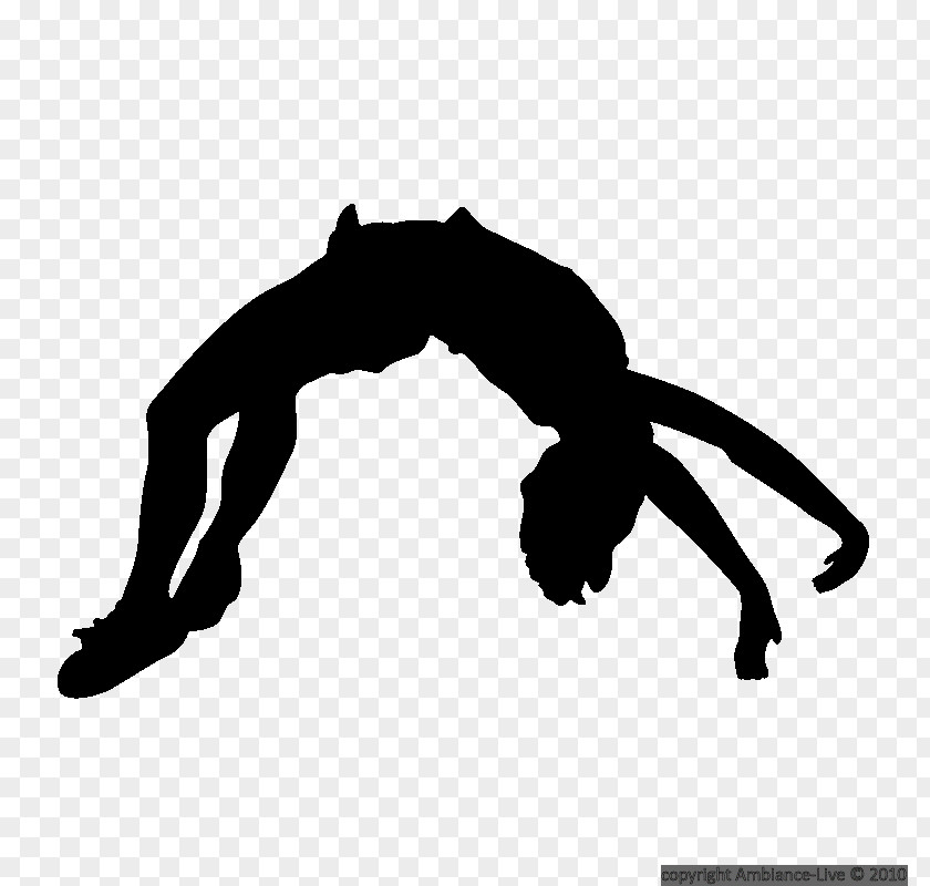 Pole Vault Silhouette Cheerleading Tumbling Gymnastics Clip Art PNG