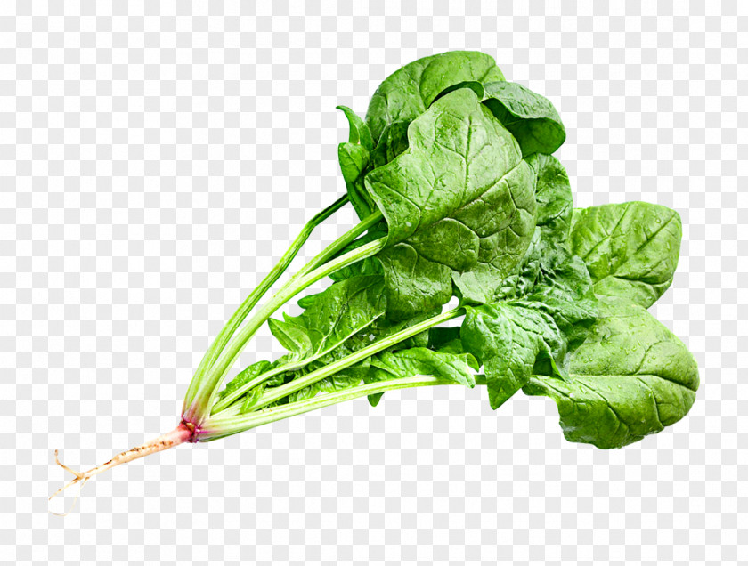 A Few Slices Of Vegetables And Leaves Chard Food Leaf PNG